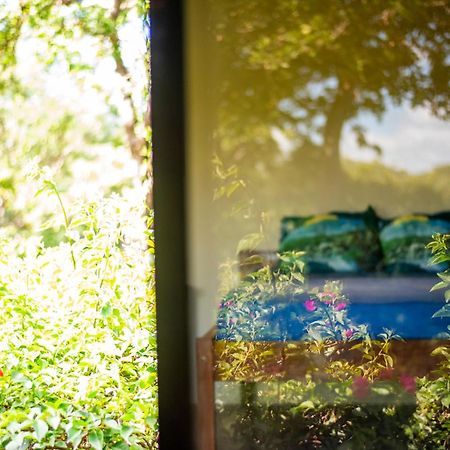 Hush Maderas Hostel San Juan del Sur Luaran gambar